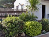 cortijo conil
